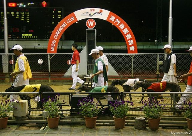 Macau government grants dog track 1-year extension