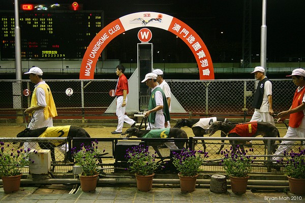 Macau government grants dog track 1-year extension