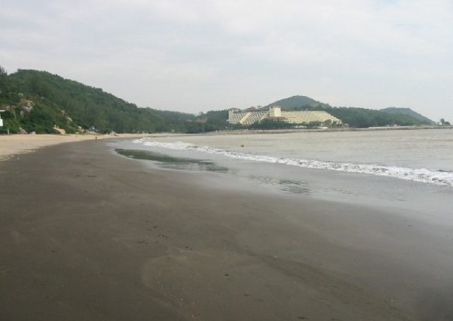 Macaubeach cleanup collects 5 kg of plastic pellets