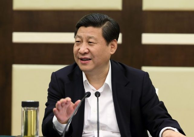 NPC member expects Xi to further improve Macau-Guangdong ties