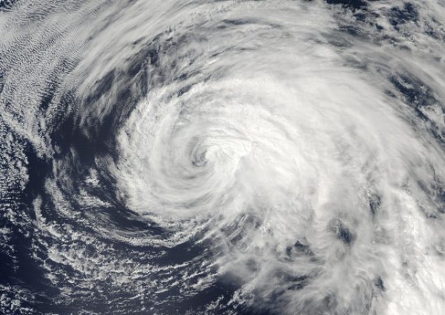 Observatory forecasts up to two signal No. 8 typhoons this year