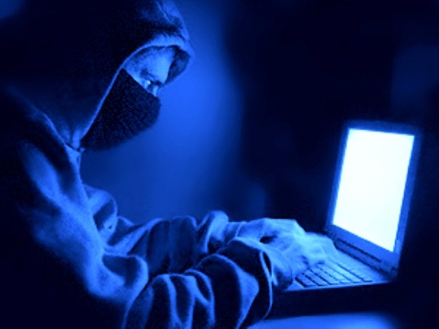 Forum throws spotlight on ‘soft’ sentences for cybercrimes
