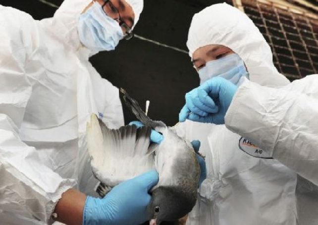 Health chief assures public govt can handle H7N9 cases