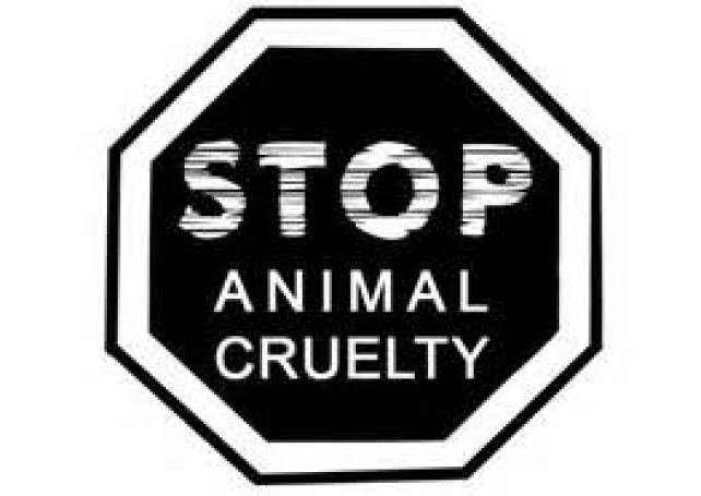 Group says animal abuse to be criminalised