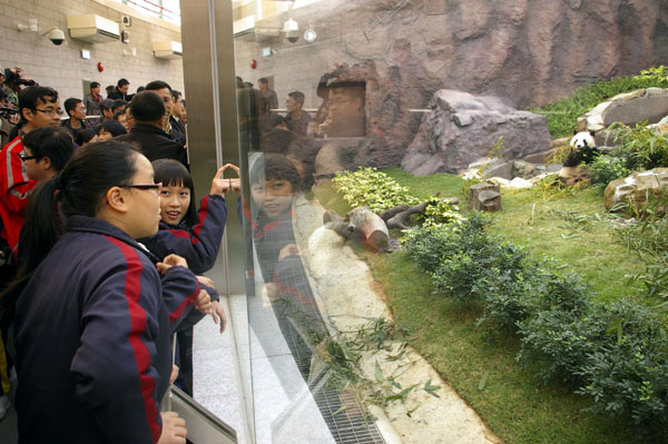 Macau’s panda era starts with opening of panda pavillion in Coloane island