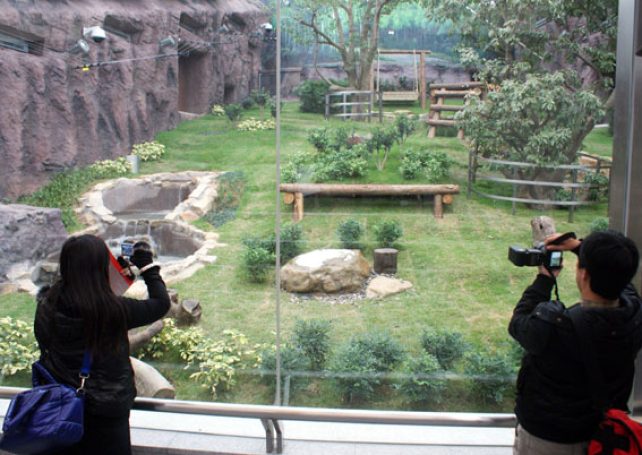 Macau’s panda pavillion to cost 90 million patacas