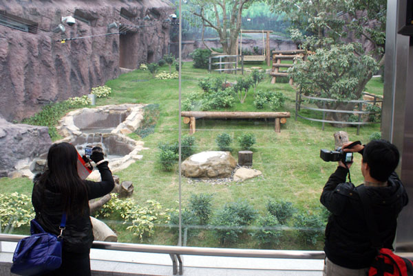 Macau’s panda pavillion to cost 90 million patacas