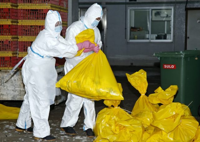 Live poultry sales suspended over bird flu