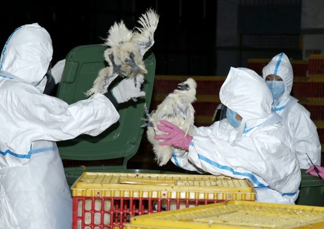 Wife of city’s 1st human bird flu victim in Macau tests negative 