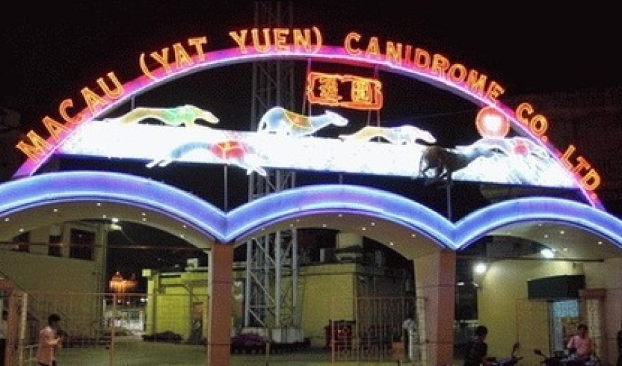 Macau government plans culture and sports for dog racetrack