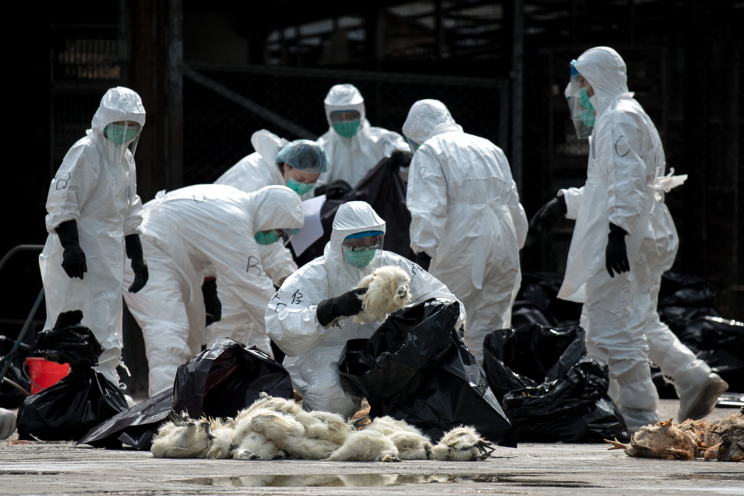 72-year-old woman tests positive for H7N9 in Macau