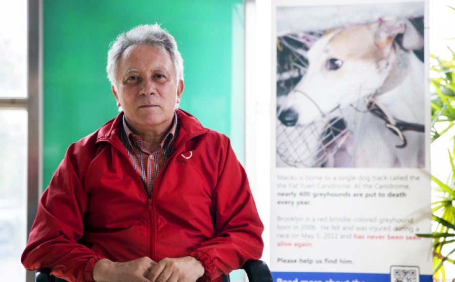 Albano Martins faces dock over dog abuse video