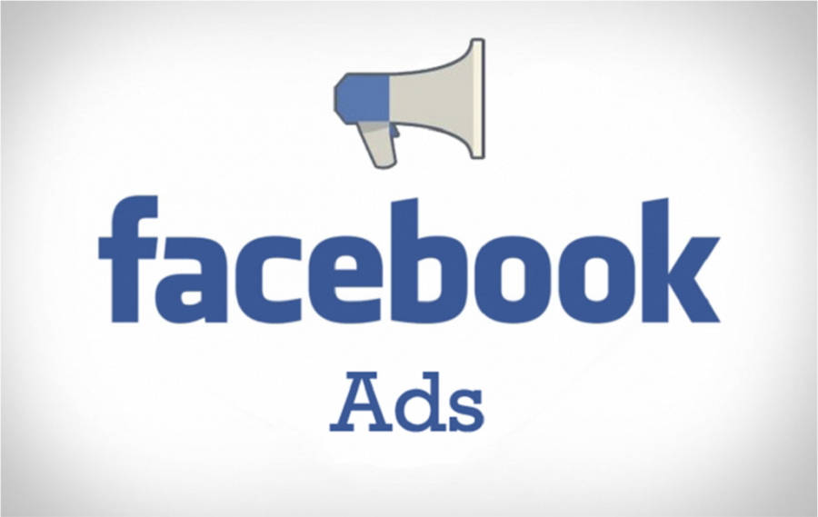 Legislative Assembly candidates not allowed Facebook ads
