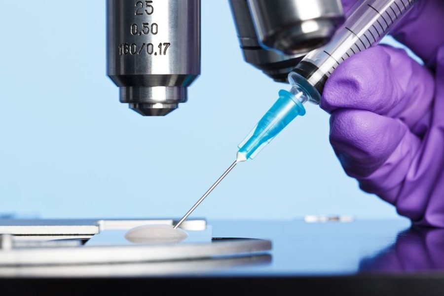 Mayo Medical Centre providing IVF treatment without licence