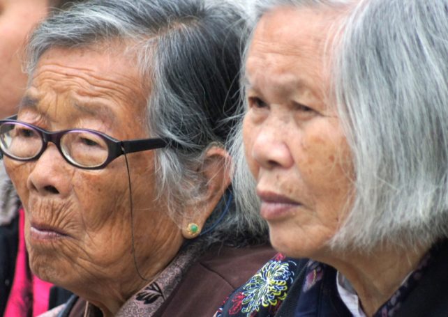 Government proposes framework bill for elderly rights