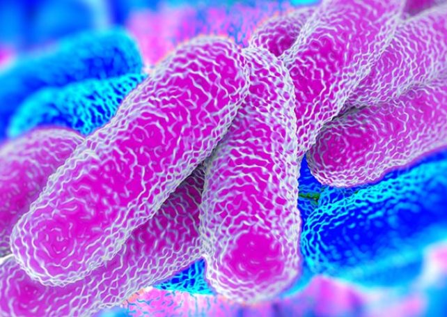 No abnormality in local Legionella incidence: Health Bureau