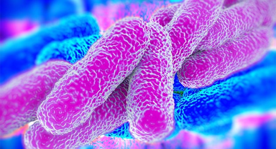 No abnormality in local Legionella incidence: Health Bureau