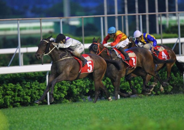 Government approves extension of horse race concession until 2024