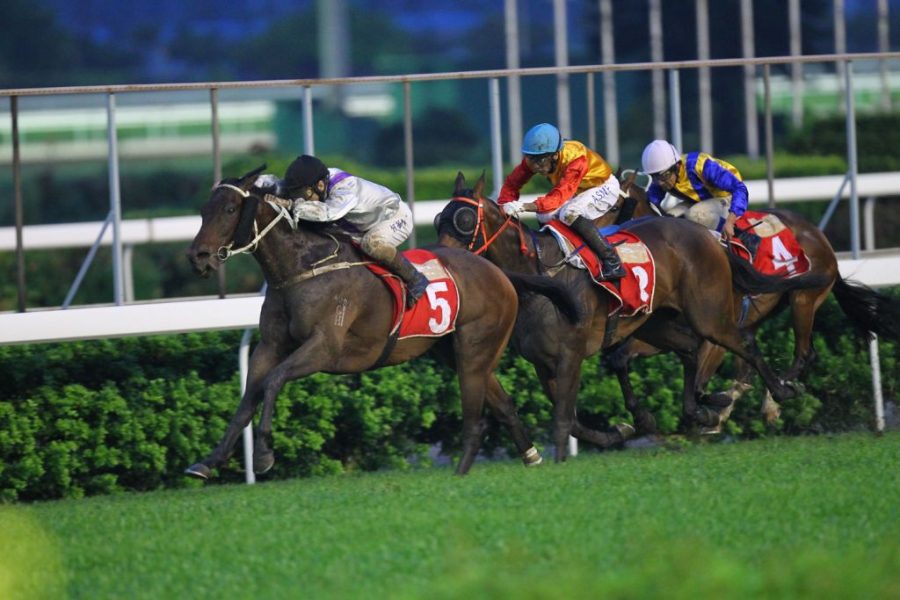 Government approves extension of horse race concession until 2024