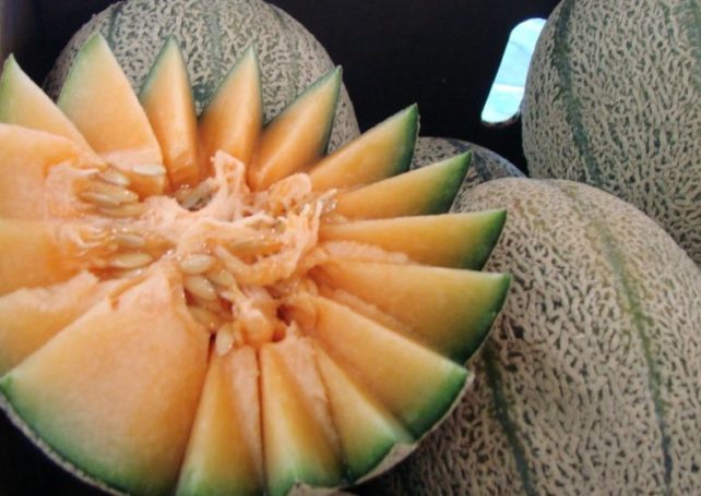 Govt recalls 26 kilos of possibly contaminated melons from Australia