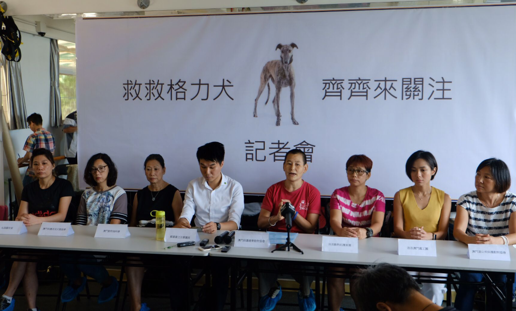 8 groups urge govt to ensure greyhounds won’t end up on mainland