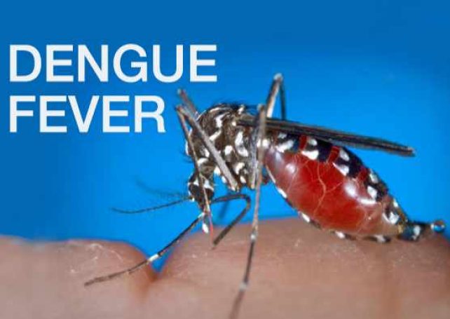 11th imported dengue case confirmed: govt