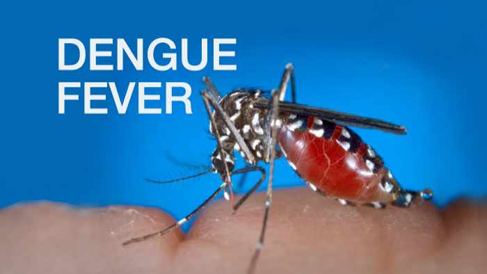 11th imported dengue case confirmed: govt