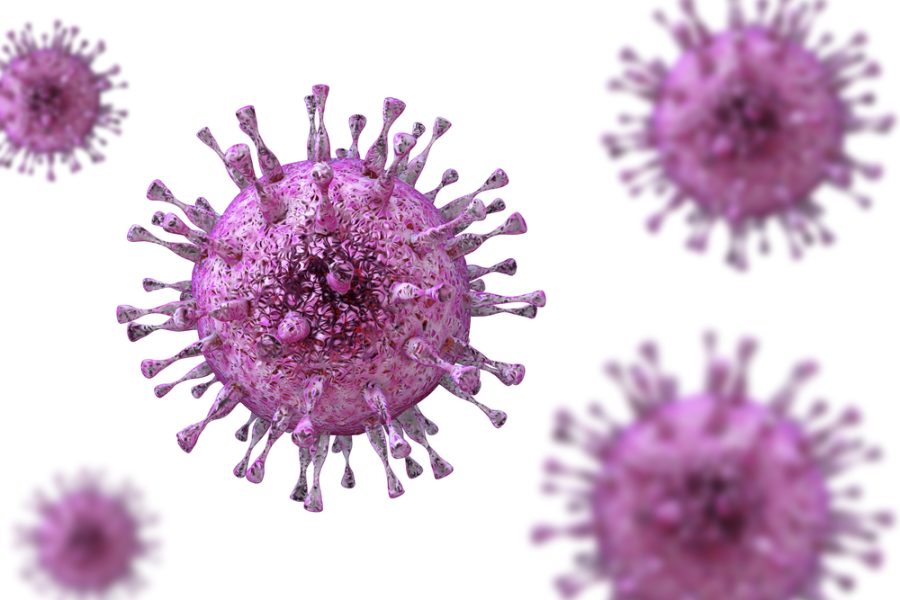 Health Bureau announces ‘small outbreak’ of rubella