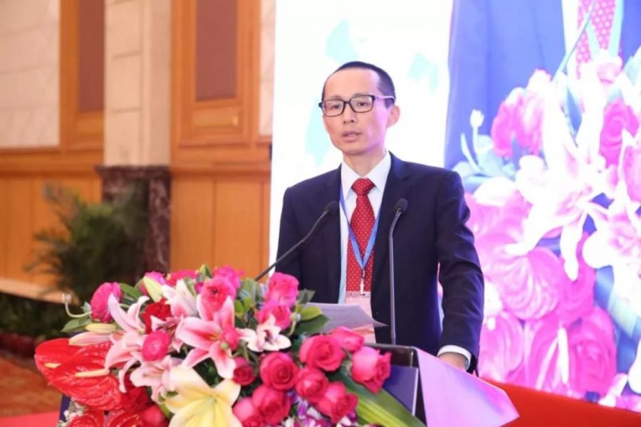 Hengqin to continue supporting Macau’s diversification: finance chief