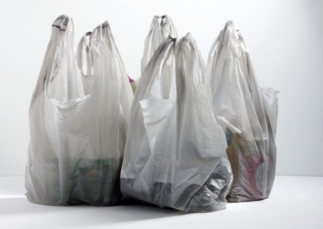 Plastic bag charge scheme starts ‘smoothly’: government
