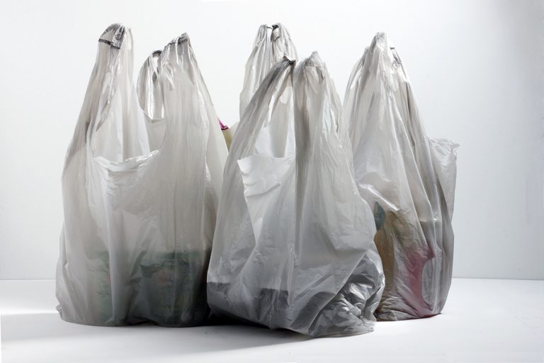 Plastic carrier bags to cost 1 pataca: gazette