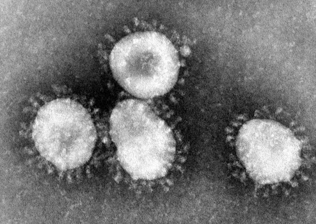 All you need to know about the coronavirus in Macau