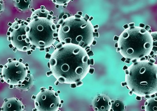 Government confirms 5 cases of coronavirus so far in Macau