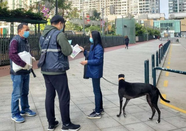 Govt reminds owners to properly handle dog poo during coronavirus threat