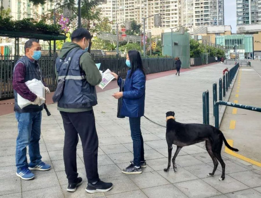 Govt reminds owners to properly handle dog poo during coronavirus threat