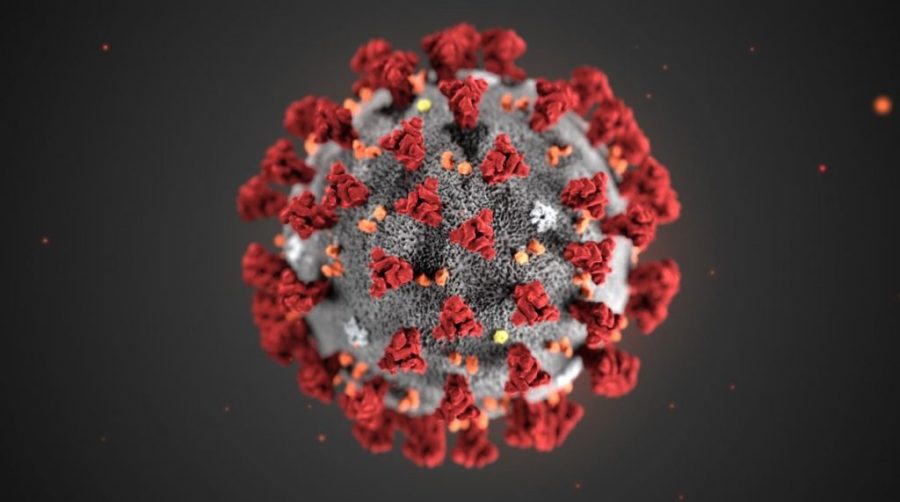 First coronavirus patient recovered and discharged