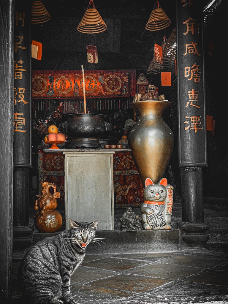 Cats, both real and ceramic, share a quiet moment at a temple during pandemic-era Macao