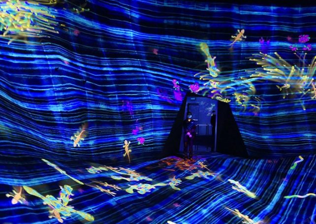 teamLab creates ‘SuperNature’ experience for Macao audience