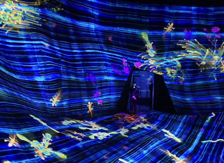 teamLab creates ‘SuperNature’ experience for Macao audience