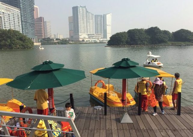 Anim’Arte pedalos to restart tomorrow