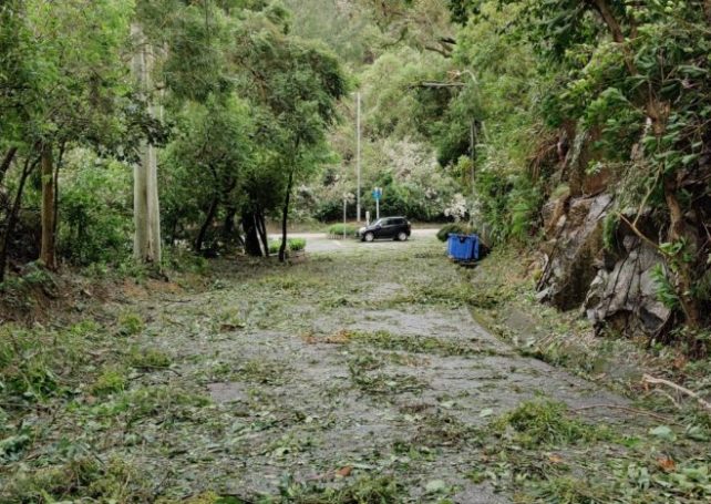 Macao spared major damage despite signal No. 10 during Typhoon Higos