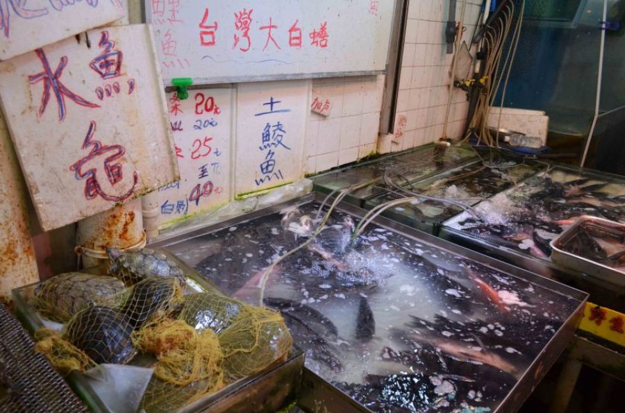 Microbiologist from HKU suggested wet markets in Hong Kong should go cashless
