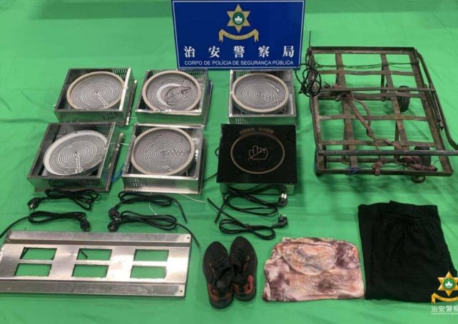 Woman, 71, steals 6-plate induction stove, sells parts
