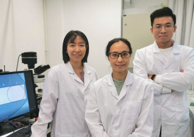 UM team develops new ‘lab-on-a-chip’