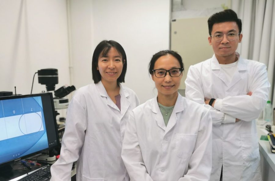 UM team develops new ‘lab-on-a-chip’