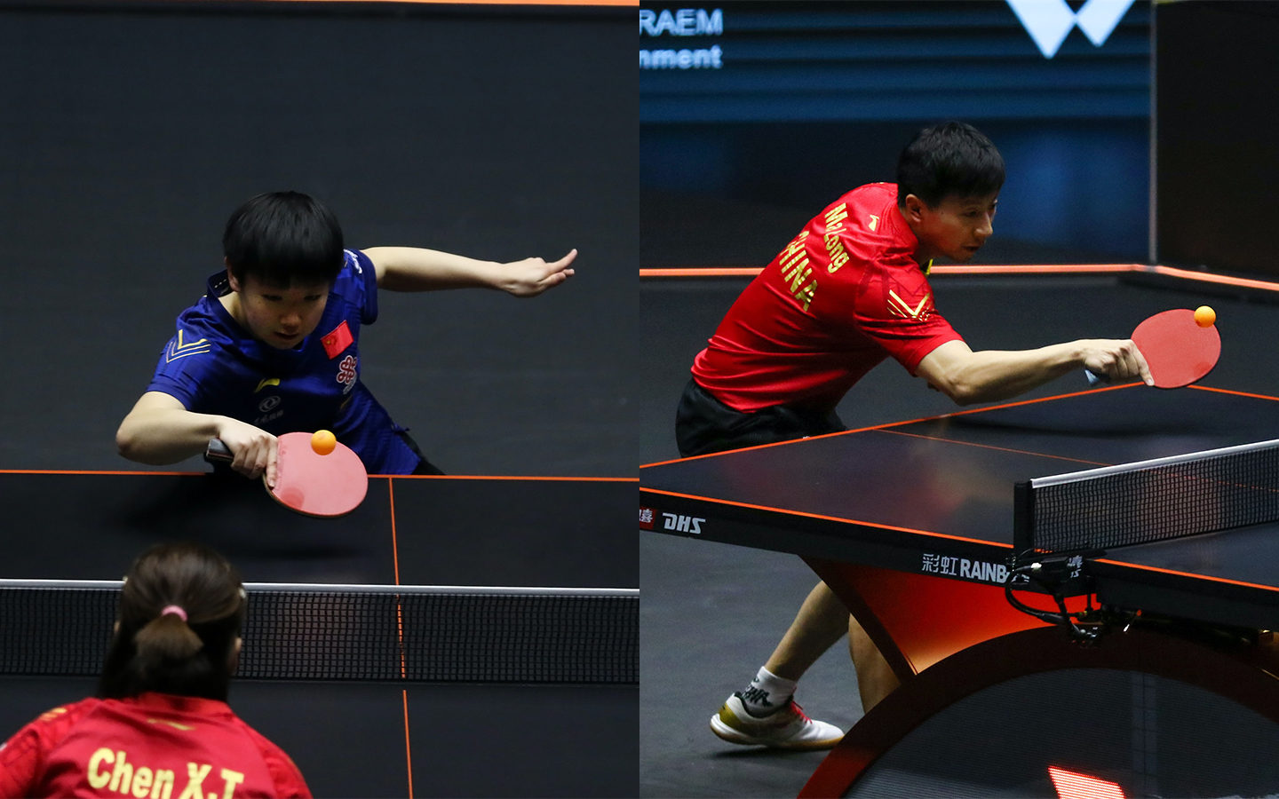 World Table Tennis (WTT) tournament winners Sun Yingsha and Ma Long from mainland China. 