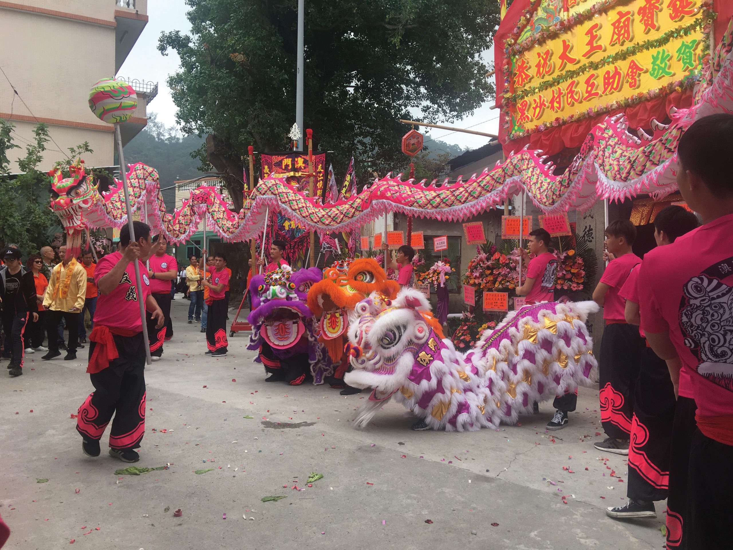 Lion dance - Photo by Cultural Affairs Bureau