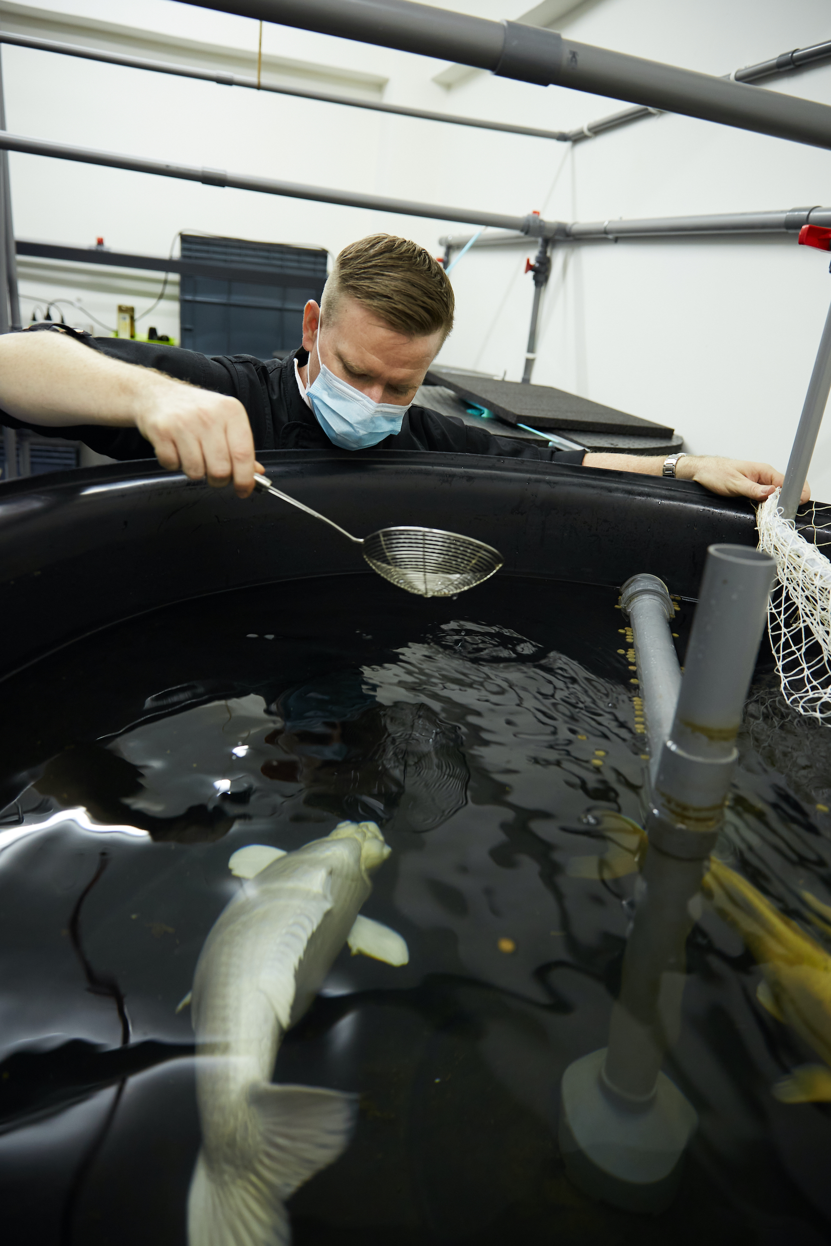 aquaponics farm Macao