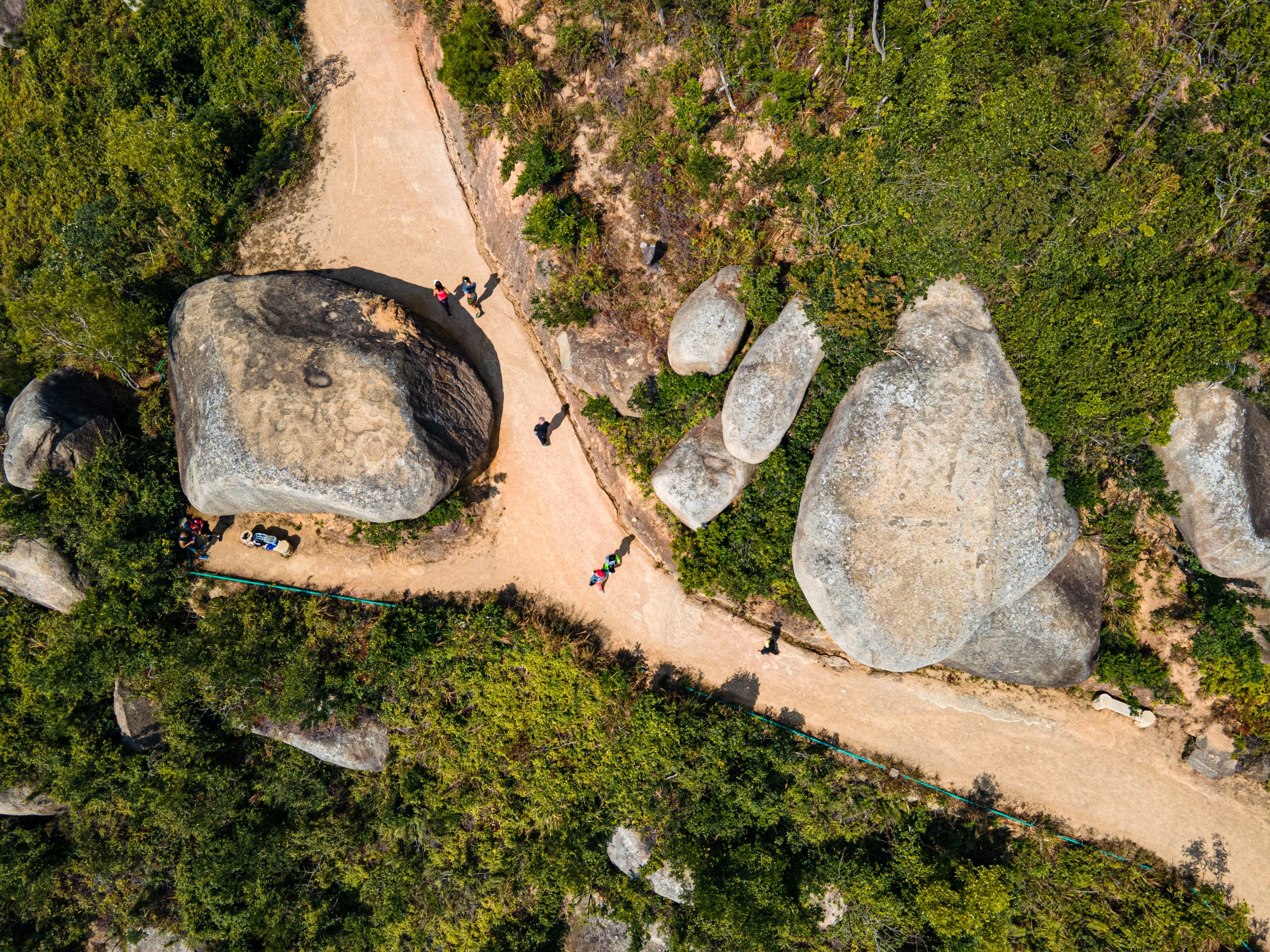 Will Macao’s reforested slopes withstand the next super typhoon?