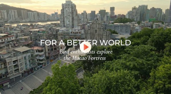 For a Better World: Bird enthusiasts explore the Macao Fortress